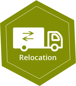 Trans Globe Shipping Ltd | relocation